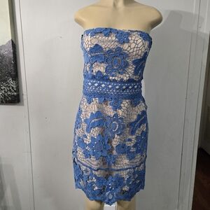 Endless Rose Blue Floral Lace Mini Dress